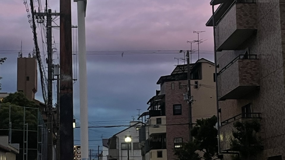 Featured image of post 6月小结