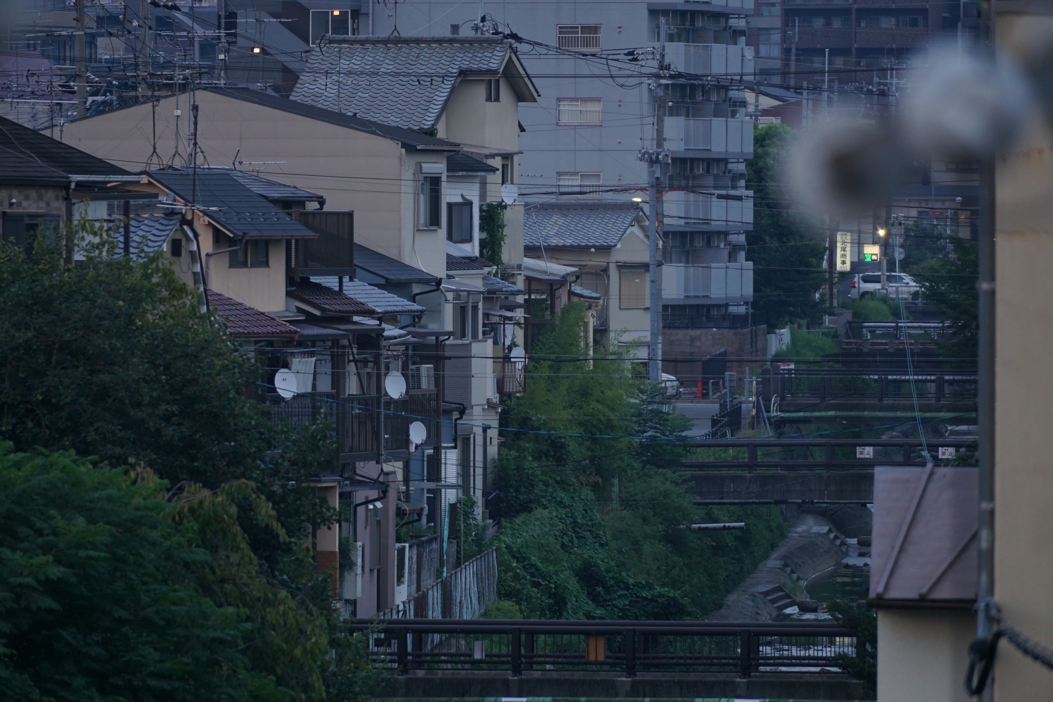 从走廊向河上游看去