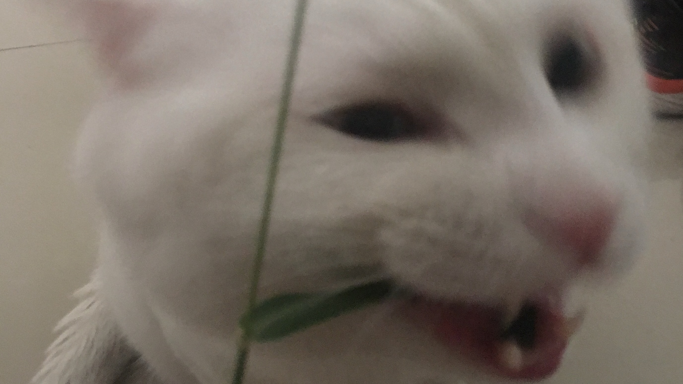 我不（再）做的事